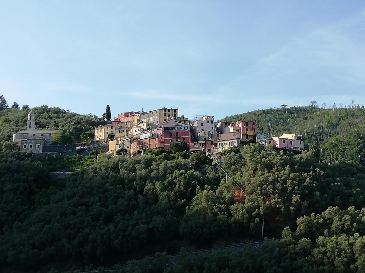 Casa Lorenzo Sulle Colline Di Levanto E Vicino Alle Cinqueterre Lt-0620 Exterior photo